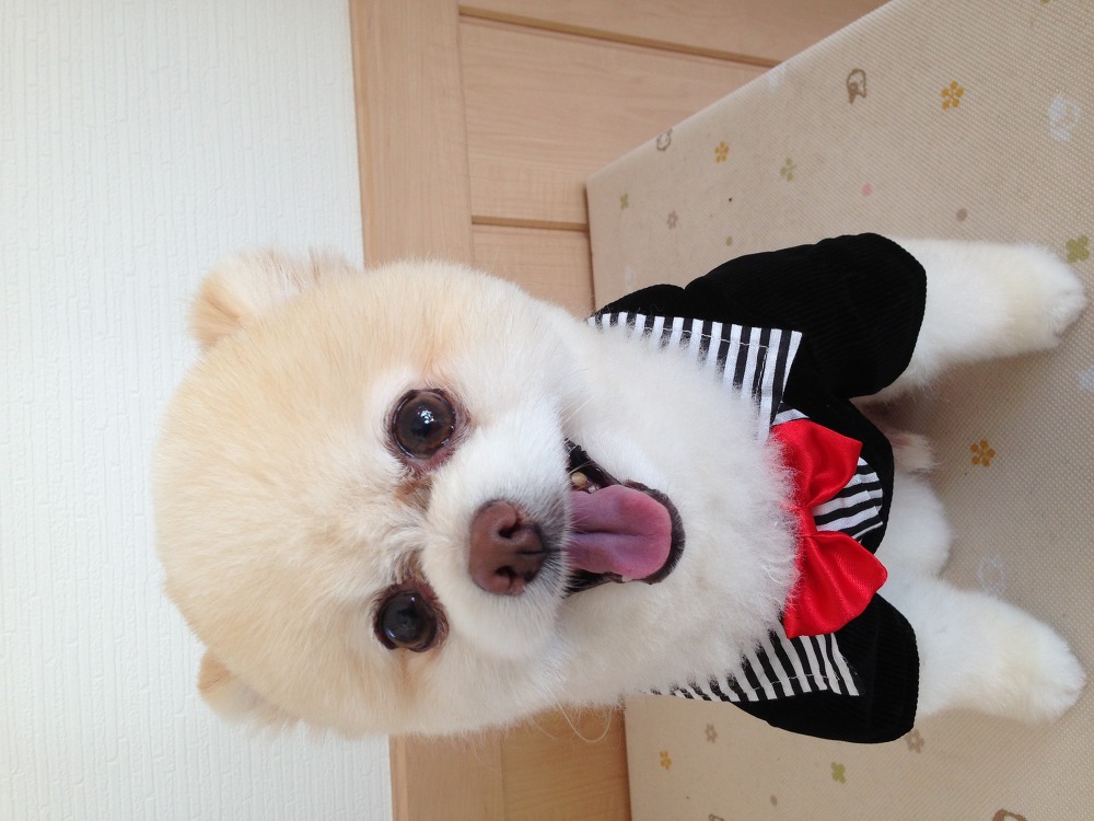 愛情を込めて接します