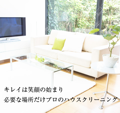 お掃除は安心のプロにおまかせ下さい!