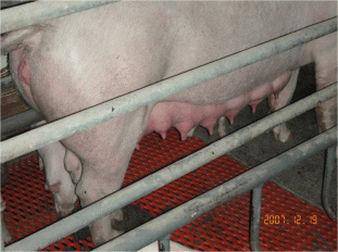 ダイワ産業株式会社　～スタミゲン～ ロゴ