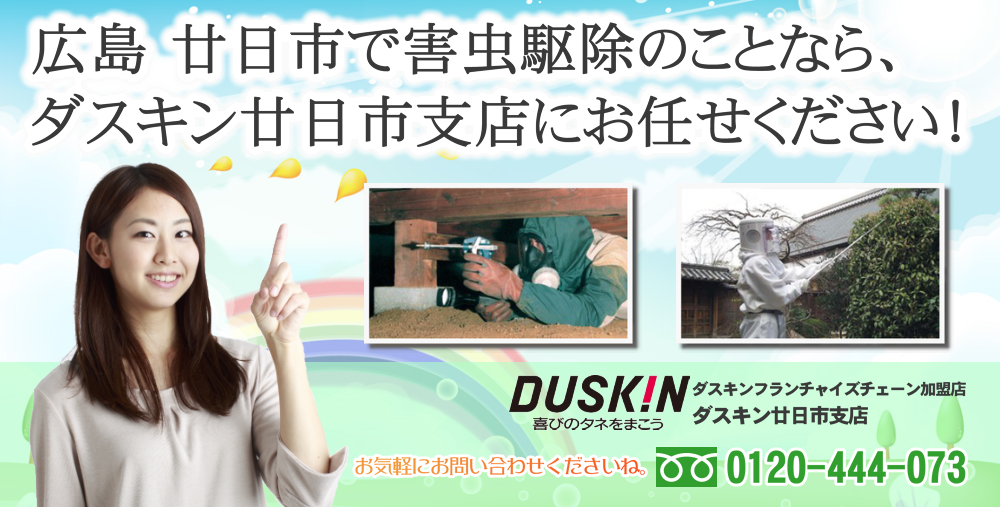 廿日市 シロアリ・ネズミ・ハチ・ゴキブリ等の害虫駆除もダスキン廿日市支店にお任せ!