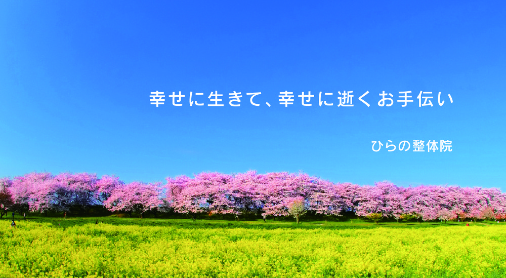 不思議だけど結果が凄い、ひらの整体院