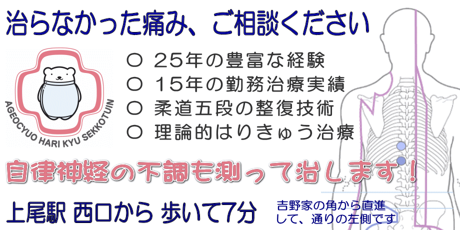 治らなかった痛み、ご相談ください■実績30年＋柔道六段＝スポーツ分野・健康管理・美容鍼も■上尾駅西口