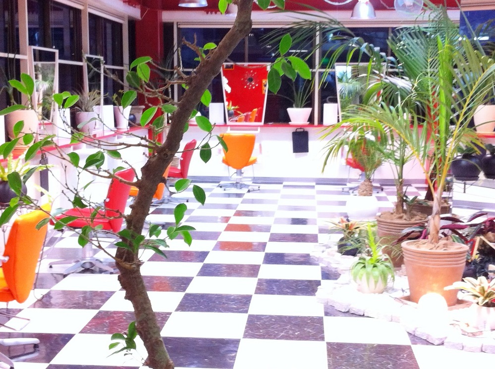 【高陽・口田発信！】提案力・技術力に自信！幅広い年代の女性の美を追求します