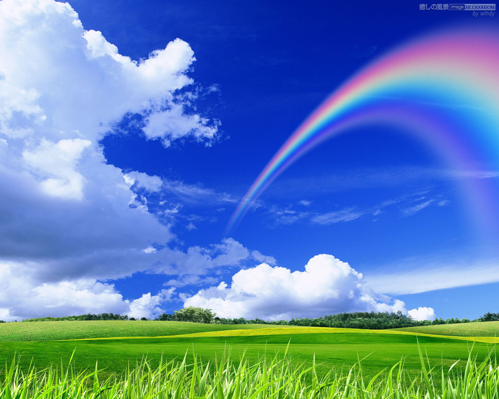 山口市,周南市,下関市,女性専用出張アロマオイルマッサージ・男性セラピストによる施術