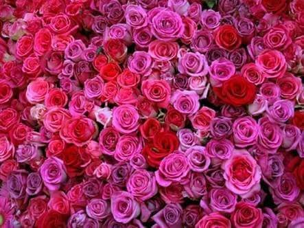 広島市、東広島市のご自宅、ビジネスホテルにもみほぐし、オイルマッサージを出張にて承ります。